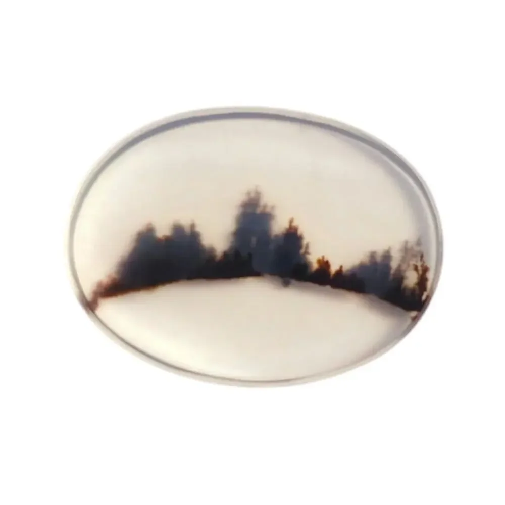 Gem Quality Dendritic Agate Cabochon 3D Tree Line Landscape Stone